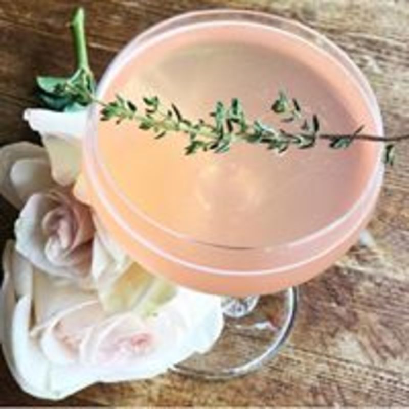 A blush-pink Southside cocktail with a thyme garnish.
